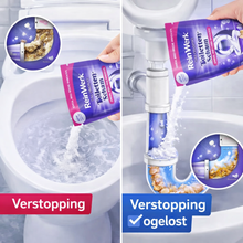 Afbeelding in Gallery-weergave laden, ReinWerk - Het origineel – krachtig tegen verstoppingen, aanslag &amp; toiletvuil
