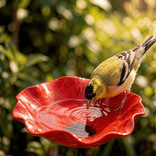 Afbeelding in Gallery-weergave laden, Vogelbloemen – Handgemaakte vogeldrinkbak in bloemvorm | Set van 2
