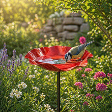 Afbeelding in Gallery-weergave laden, Vogelbloemen – Handgemaakte vogeldrinkbak in bloemvorm | Set van 2

