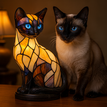 Afbeelding in Gallery-weergave laden, Lunakat
